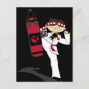 Recherche de karaté cartes postales Kung fu