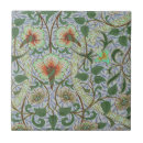 Recherche de fleur jonquille carreaux Botanique