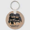Recherche de chien de rottweiler porteclés Chiots