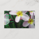 Recherche de plumeria cartes visite Affaires