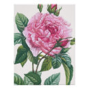 Recherche de feuilles verts posters Jardin