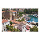 Recherche de dindes posters Nature
