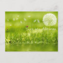 Recherche de coccinelle cartes postales Herbe