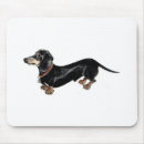 Recherche de teckels tapis souris Saucisse