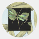 Recherche de décorative autocollants Botanique
