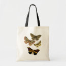 Recherche de mite sacs Papillon