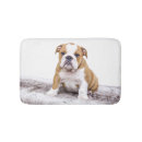 Recherche de bouledogue français salle bain accessoires Animaux