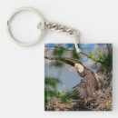 Recherche de aigle chauve porteclés Faune