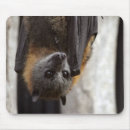 Recherche de batte tapis souris Voler