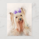Recherche de yorkshire terrier cartes postales Adorable