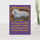 Recherche de caniche blanc vœux cartes Dog