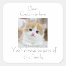 Recherche de famille de chat Pour animaux