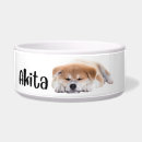 Recherche de akitas Dogs