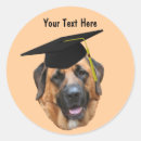 Recherche de chien brun autocollants Mignon