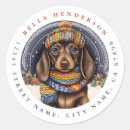 Recherche de chien brun autocollants Hiver