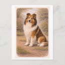 Recherche de colley cartes postales Vintage
