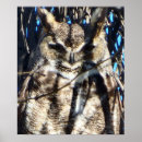 Recherche de owen Nature