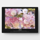 Recherche de japonais plaques Fleurs de cerisier