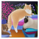 Recherche de chat carreaux Amoureux des chats
