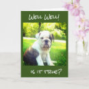 Recherche de toilettage vœux cartes Vétérinaire