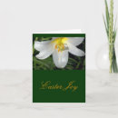 Recherche de satin blanc vœux cartes Floral