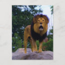 Recherche de roi des bêtes posters Nature