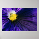 Recherche de abstrait photographie posters Printemps