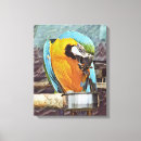 Recherche de perroquets bleus toiles Macaw