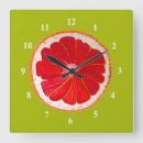 Recherche de de pamplemousse art Aquarelle