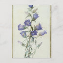Recherche de fleurs 19ème cartes postales Pierre