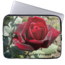 Recherche de poésie coques Rose
