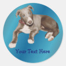 Recherche de petit chien bleu autocollants Animal