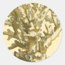 Recherche de algues autocollants Océan