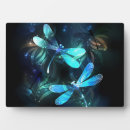 Recherche de libellules plaques Papillon