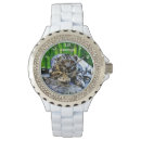 Recherche de tigre montres Prédateur