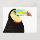 Recherche de oiseau toucan cartes postales Aquarelle