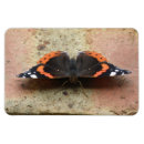 Recherche de amiral magnets Rouge
