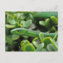 Recherche de camouflage cartes postales Jour
