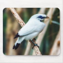 Recherche de bird mousepads Nature
