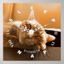 Recherche de petit somme de chat art Sommeil