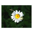 Recherche de délicat posters Jardin
