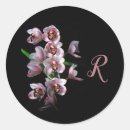 Recherche de orchidée noire autocollants Fleurs
