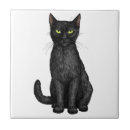 Recherche de mignon chat carreaux Noir et blanc