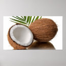 Recherche de coco posters Nourriture