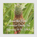 Recherche de fruit exotique invitations Tropical