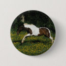 Recherche de cheval équestre badges Fleurs