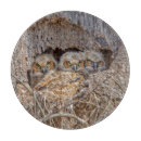 Recherche de bébé planches à découper Oiseau