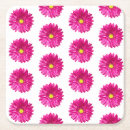 Recherche de fleurs de marguerite gerbera invitations Toute personne