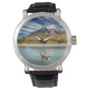Recherche de chameaux montres Beau