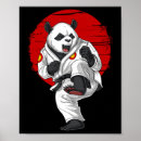 Recherche de bjj posters Martial